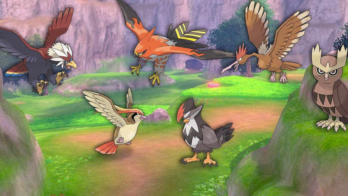 Pokemon Gimmicks Birds