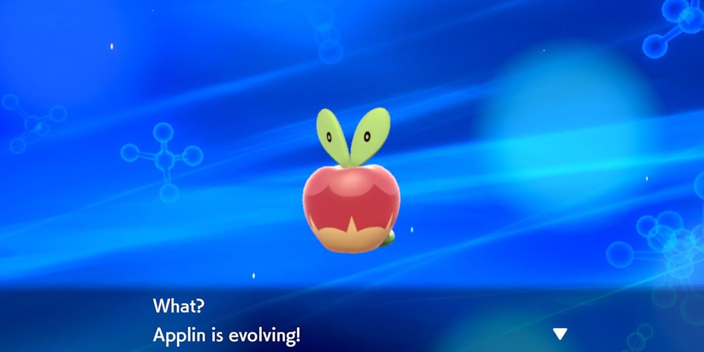 Pokemon Fan Designs Regional Variants for Applin and Its Evolutions