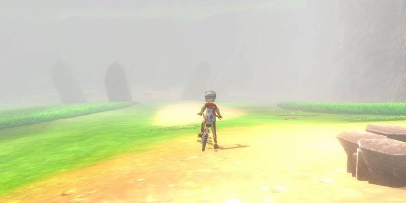 Pokemon Sword & Shield Wild Area