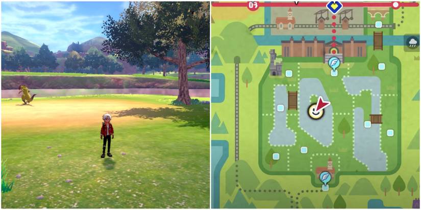 Pokemon Sword and Shield Wild Area Map Axews Eye