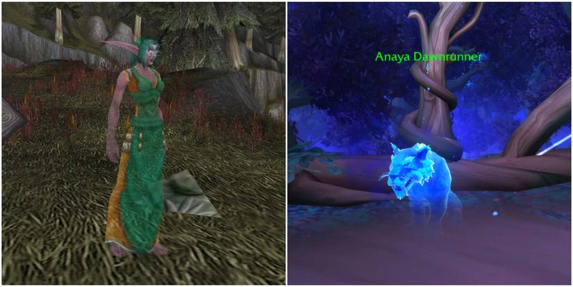 Anaya Dawnrunner Shadowlands