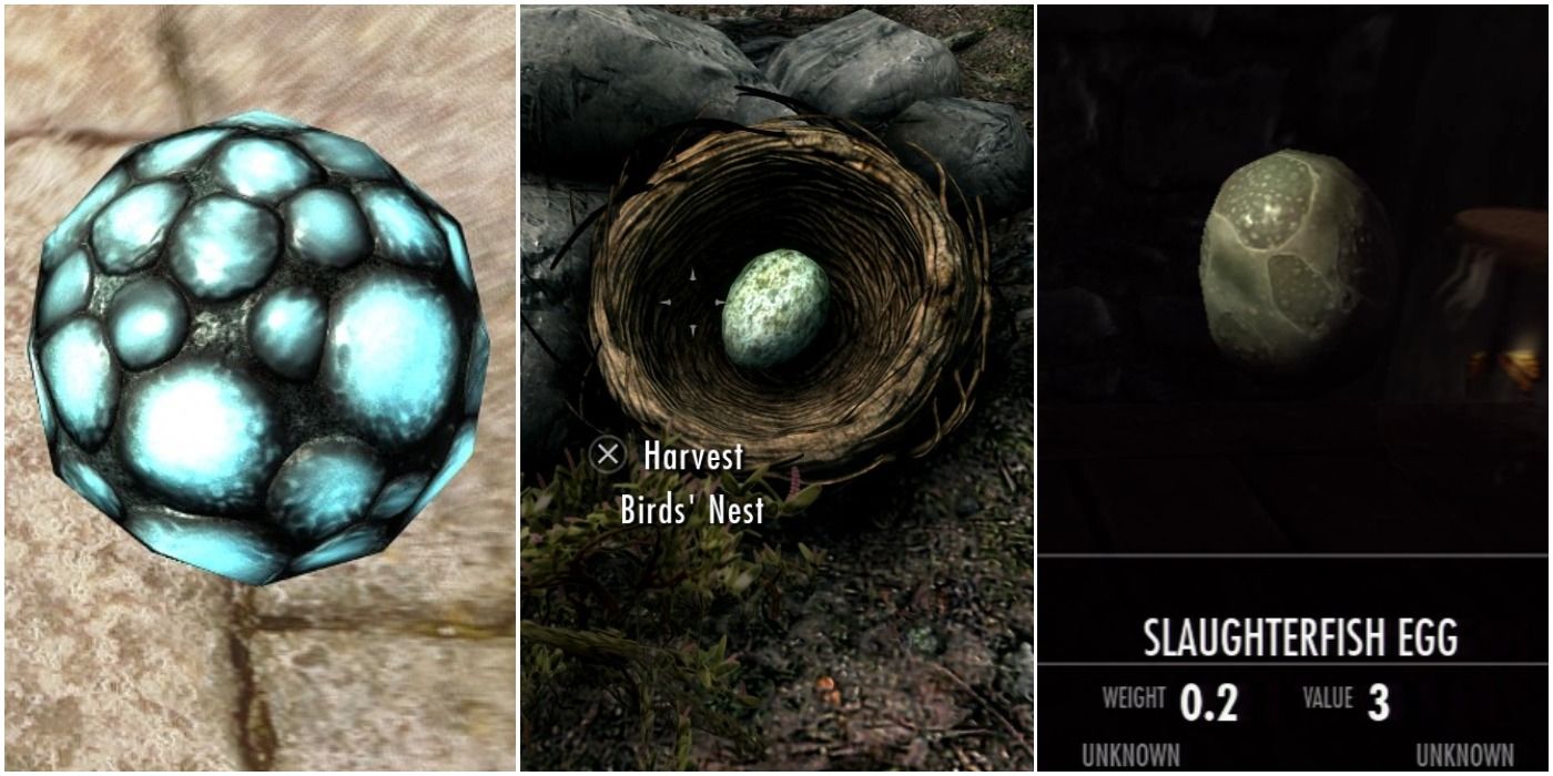 A Chaurus egg, a bird's nest, and a Slaughterfish egg in Skyrim