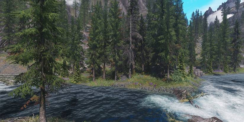 Skyrim Flora Overhaul mod