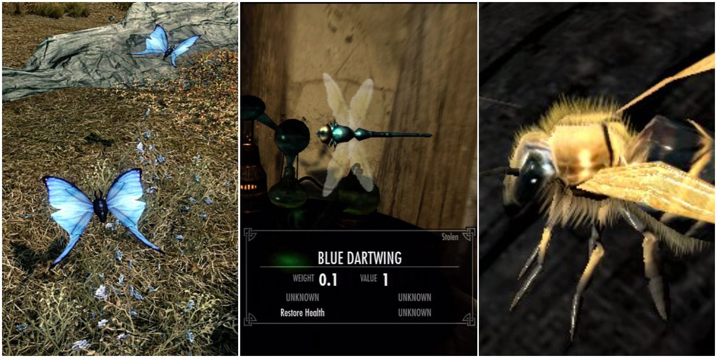 The Blue Mountain Butterfly, Blue Dartwing, and a Bee from Skyrim
