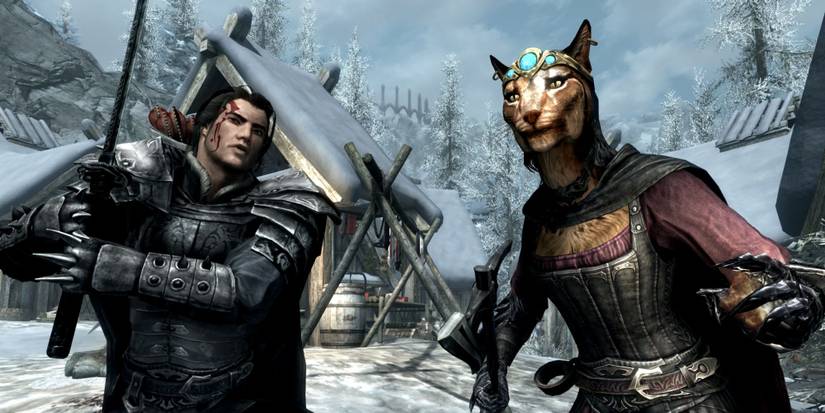 Skyrim Khajiit Woman And Human Dragonborn