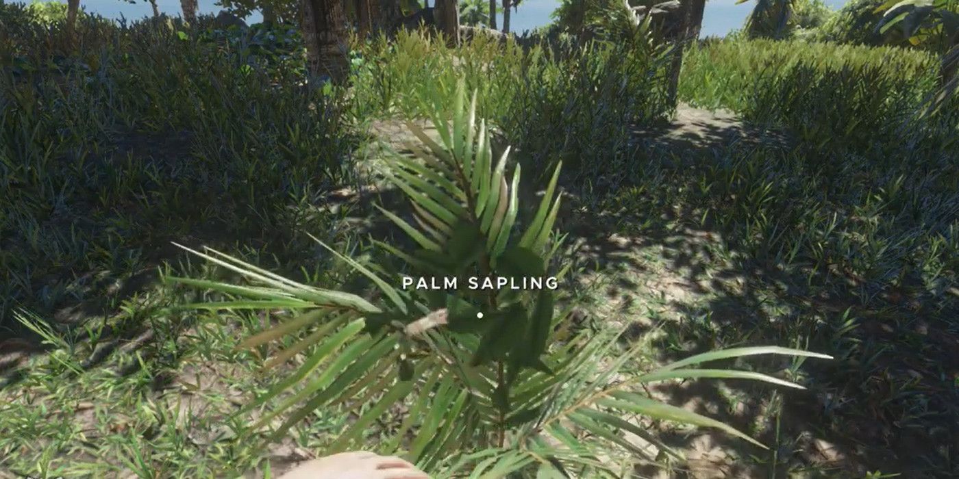 How to get Fibrous Leaves in Stranded Deep