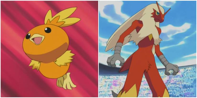 Pokemon Torchic Blaziken