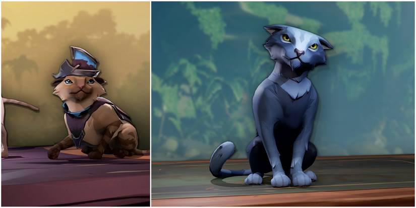 Sea of Thieves Wildcat