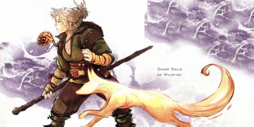 Wildfire Druid - DnD Subclasses To Try Not In The Handbook