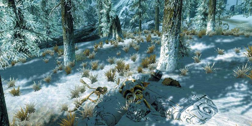 skeleton and chest in forest of skyrim