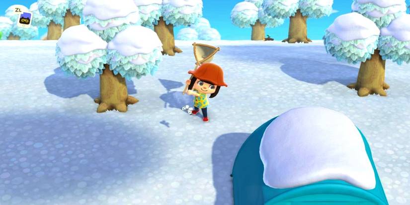 animal crossing new horizons