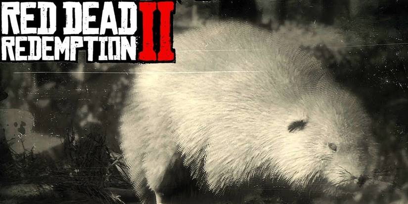 American Muskrat Red Dead Redemption 2