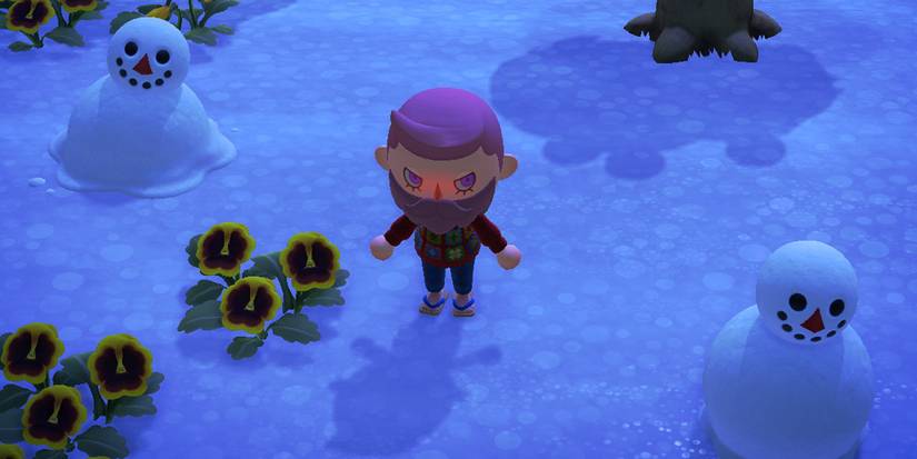 new horizons dying snowboy