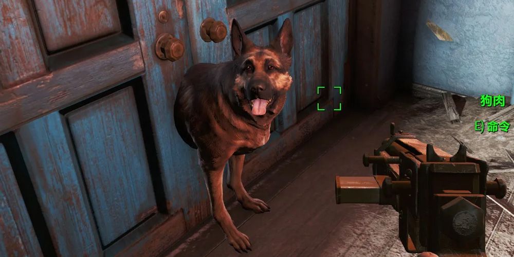 One of the many glitches found in Fallout 4