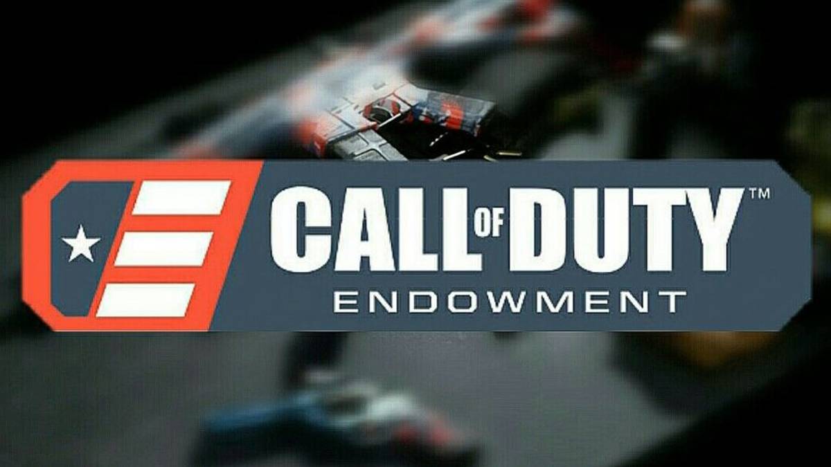 call of duty endowment promo
