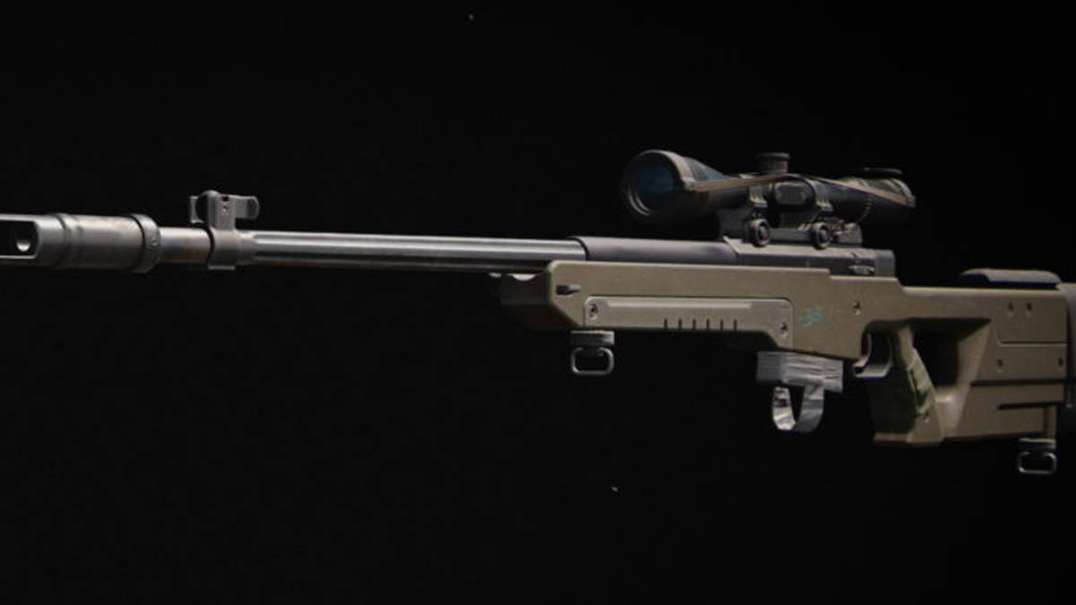 call of duty artic warfare rifle