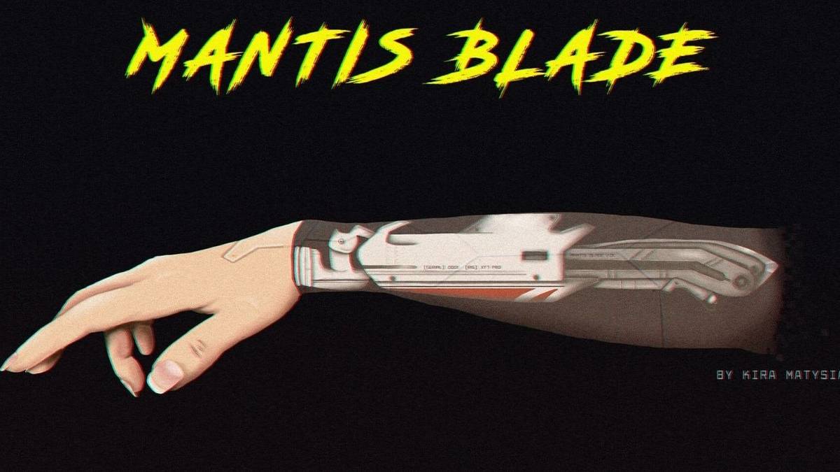 Fast Rotor Mantis Blades Mod Guide