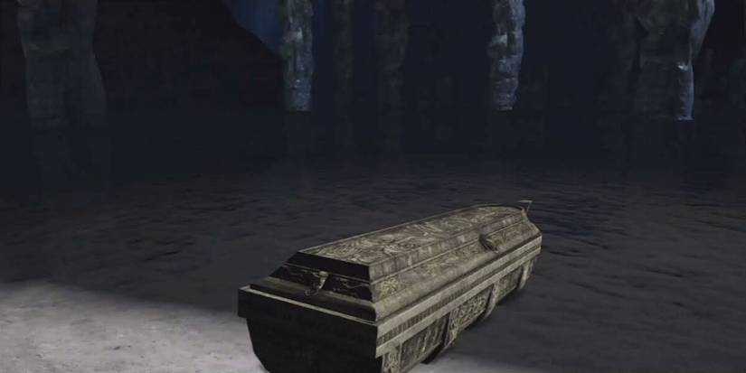 Dark Souls 2 -Coffin