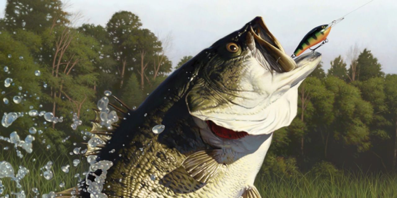 The 15 Best Fishing Games Of All Time, Ranked Game Rant EnD Gaming