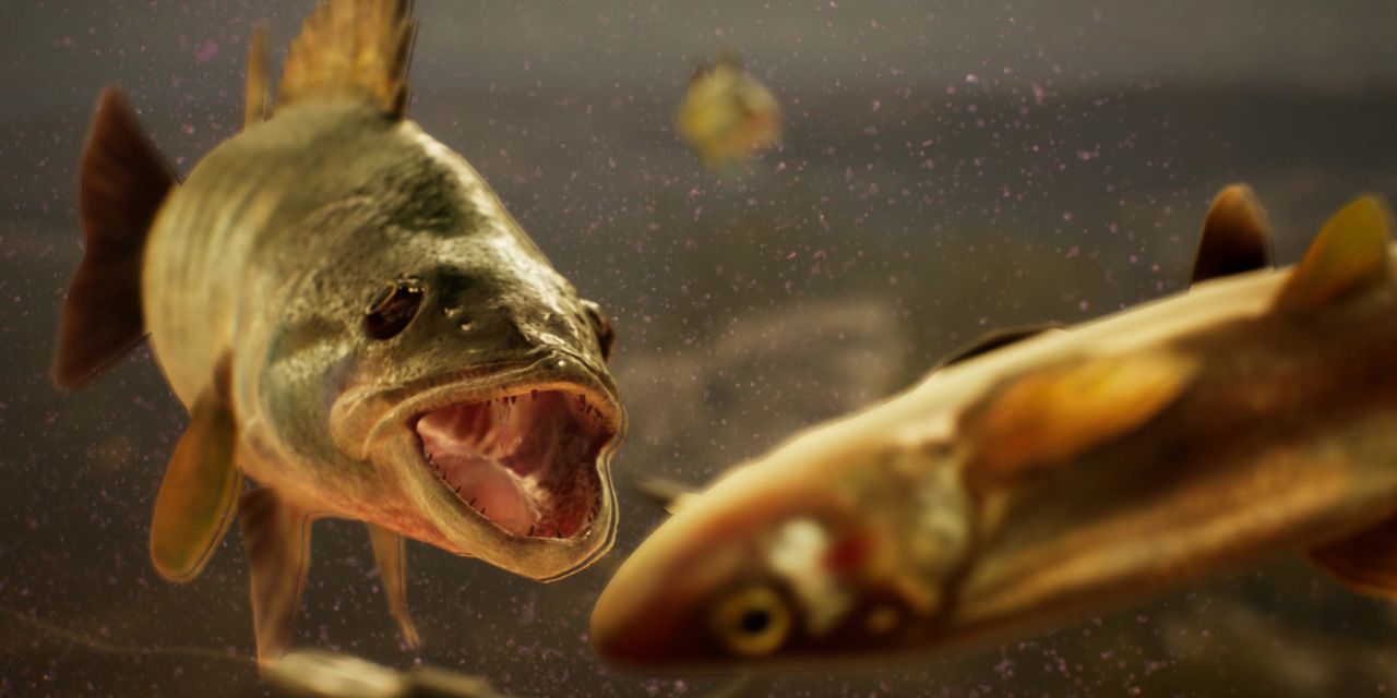 Top 15 Best Fishing Simulation Games on #PS, #XBOX, #PC, #Mobile