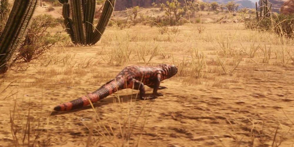 Banded Gila Moster in New Austin Red Dead Online