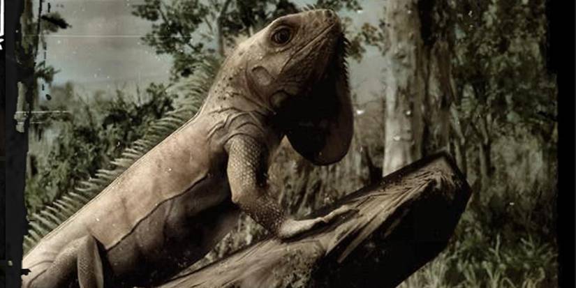 Iguana Red Dead Online