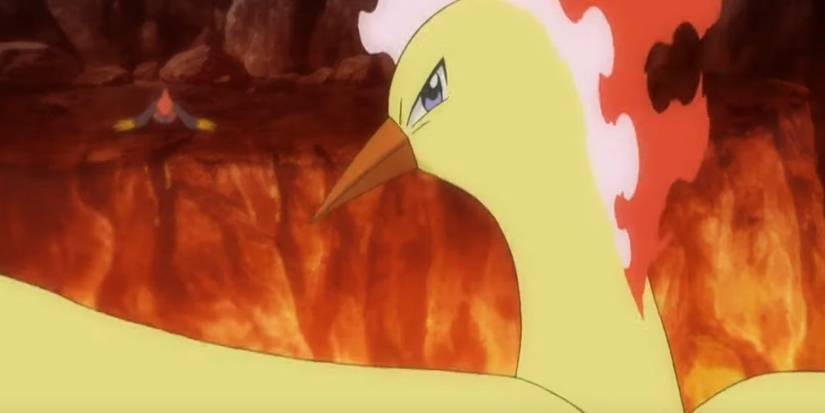 Moltres from the Pokemon anime