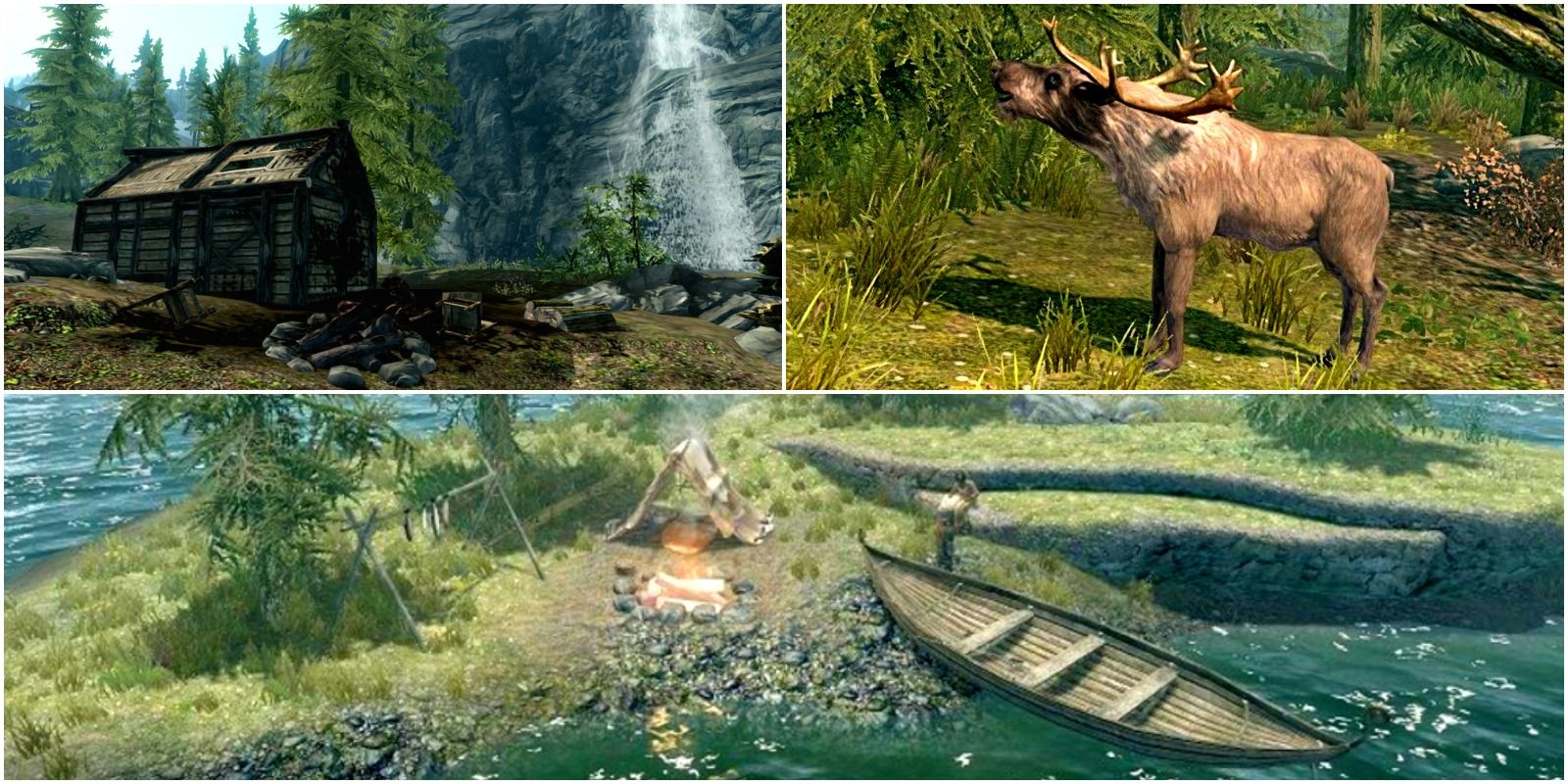 top right: an elk. bottom: camp on an island. top left: burnt cabin by a waterfall.