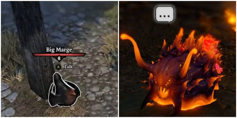 Divinity Original Sin 2 Pet Pal