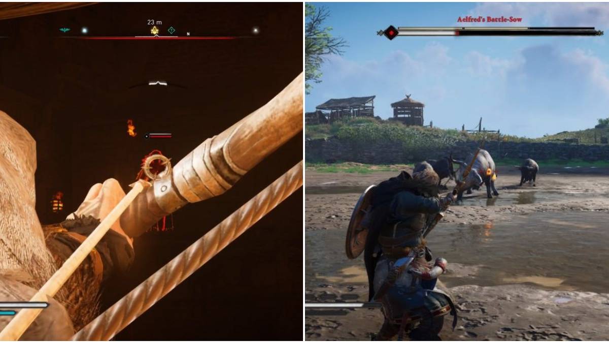 Battle Sow/ Bow Play