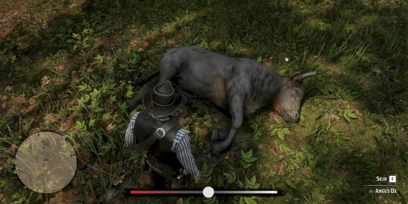 Ox Hunting Rdr2 Red Dead Online: The 18 Most Profitable Animals