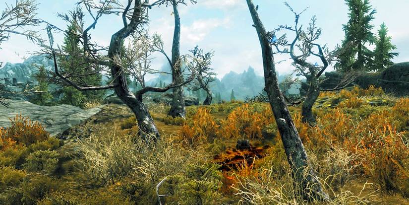 blood on the grass by a strongbox in a field