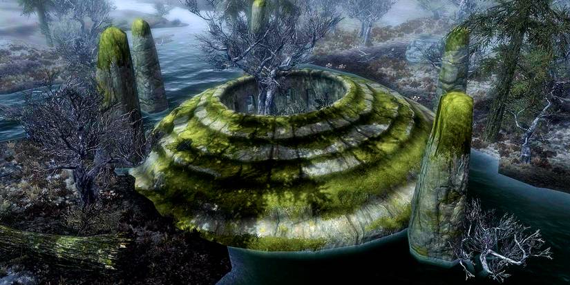 half flooded burial mound covered in moss and overgrown by trees