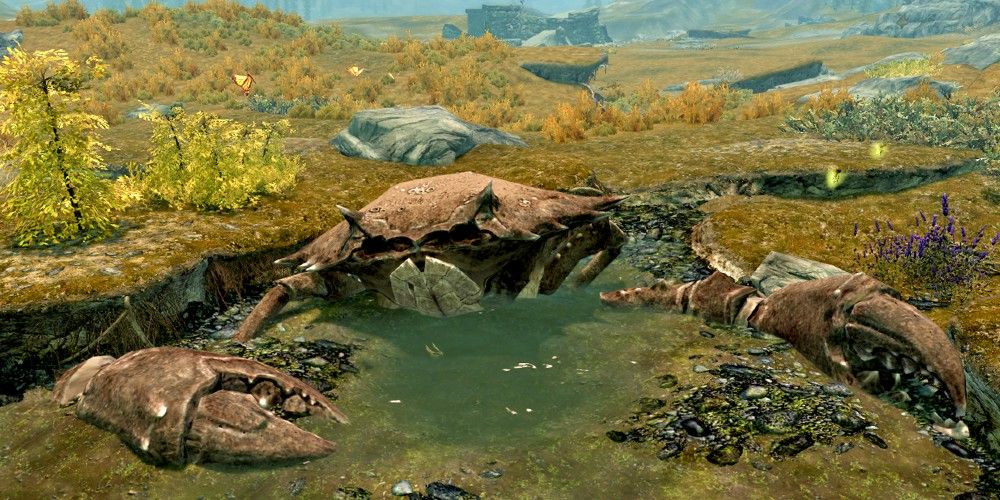 a giant dead mudcrab