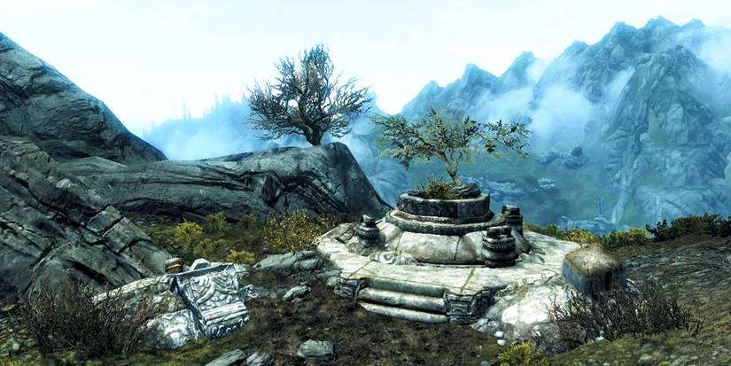 shrine atop a cliff with a plant in it