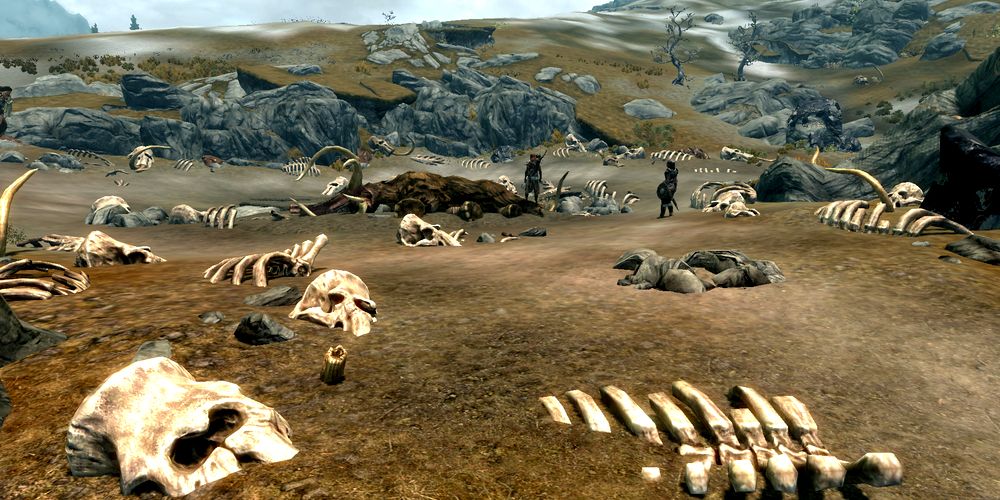 many mammoth skeletons in an open, dirt area