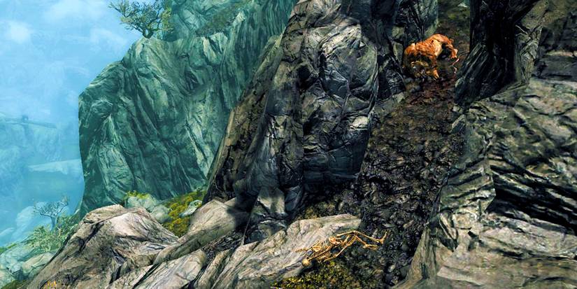 a skeleton next to a dead sabre cat in a ravine