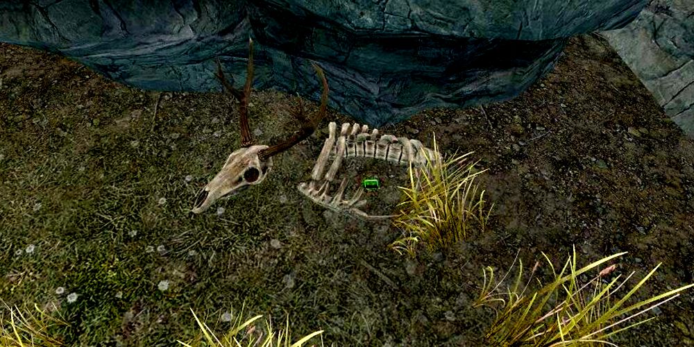 skeleton of an animal with an emerald in it on the ground in skyrim