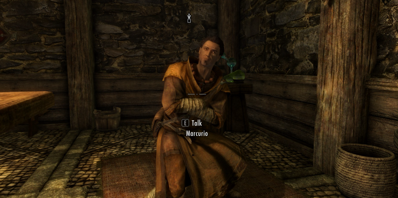 magical mercenary in the winking skeever.