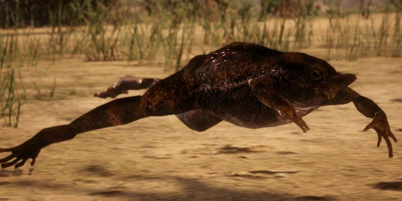 Desert Toad Red Dead Online