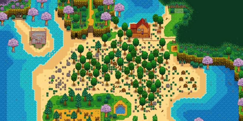 stardew valley beach farm