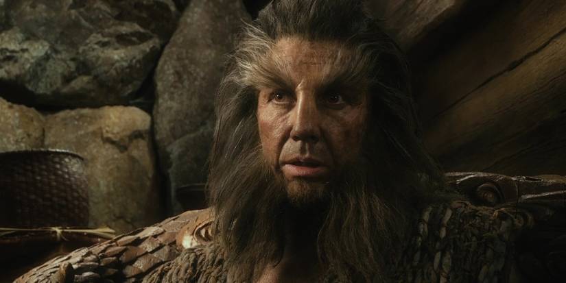 the hobbit beorn