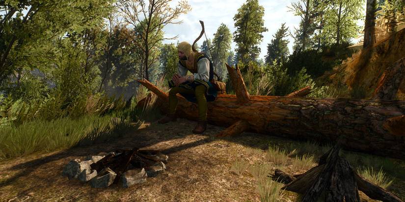 man sitting on a log in the witcher 3