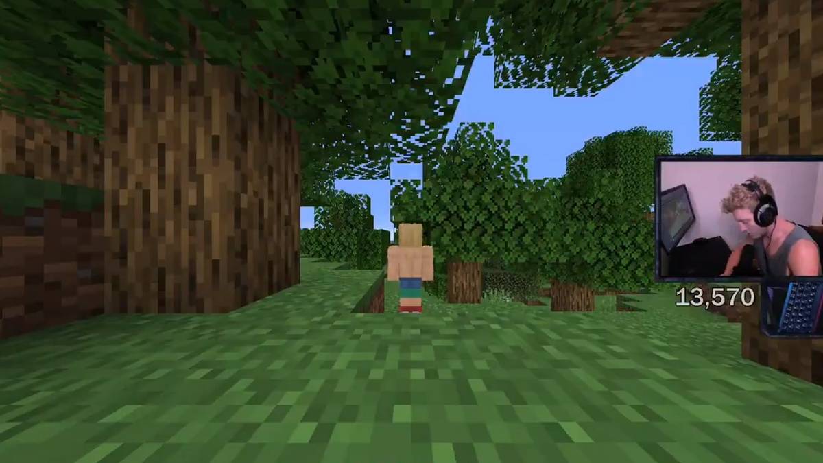 tfue swatted minecraft