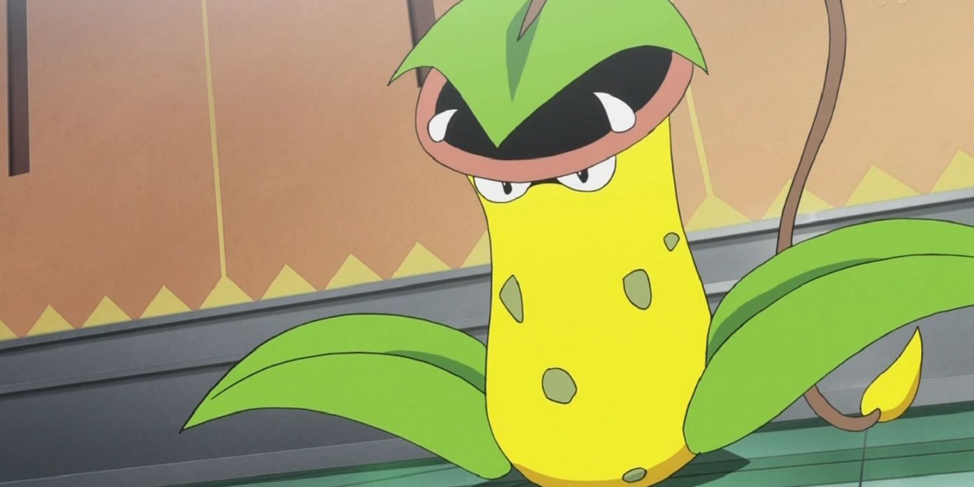 Grass Pokémon Victreebel with open mouth fangs in anime