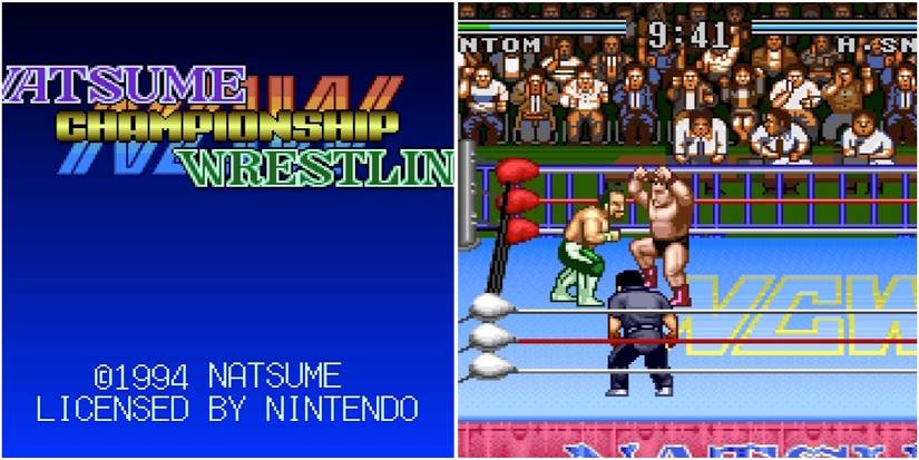 Natsume Championship Wrestling gameplay screenshots