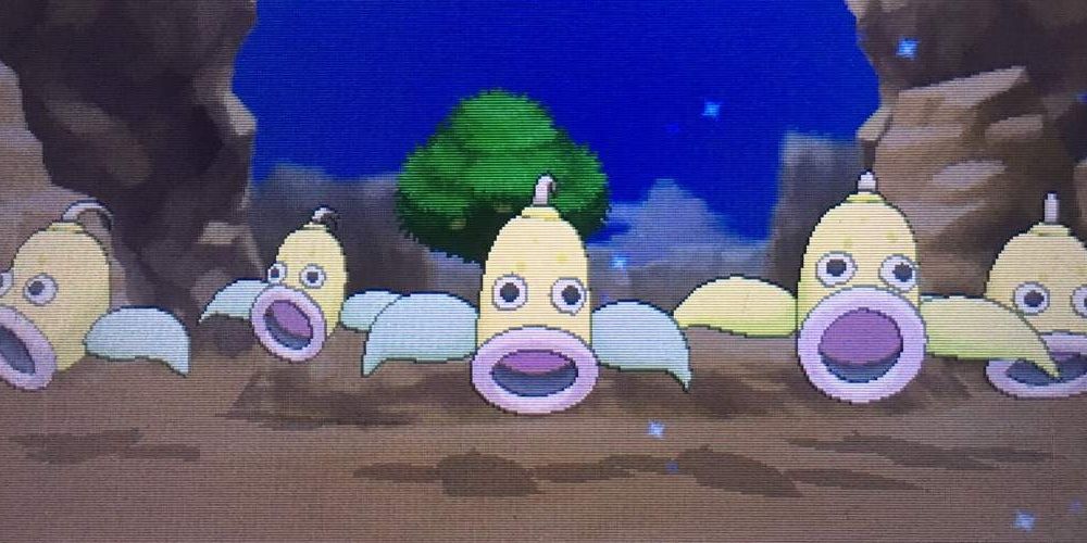 five wild weepinbell