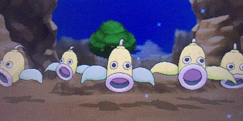 five wild weepinbell