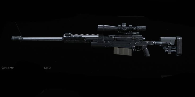 AX 50 - Call of Duty Warzone Sniper Build