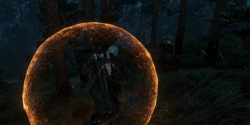 The Witcher 3 Look Of Geralt With The Active Shield Up